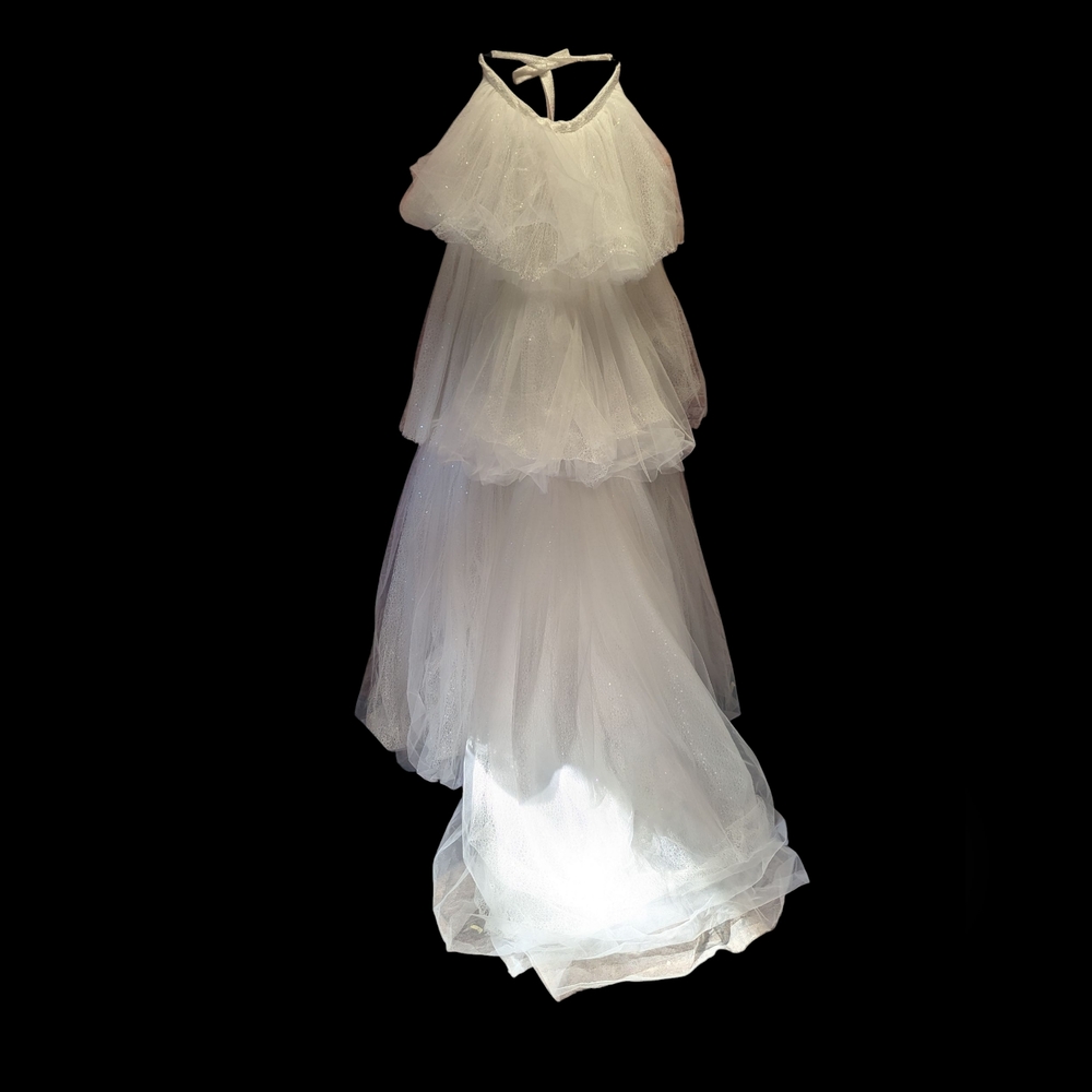 Eva lendel Detached Wedding Dress Skirt/Train Size 42